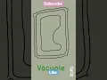 Drawing plant cell structure science