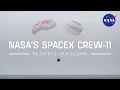 Lagu NASA's SpaceX Crew-11 Re-Entry and Splashdown