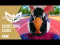 Download Lagu The Clues: Exotic Bird | Season 1 Ep. 1 | THE MASKED DANCER