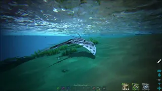 How To Tame A Manta In Ark