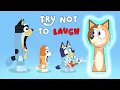 Download Lagu BLUEY TRY NOT TO LAUGH (GIGGLE STORM)