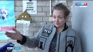 Россиян приучают убирать за своими четвероногими питомцами