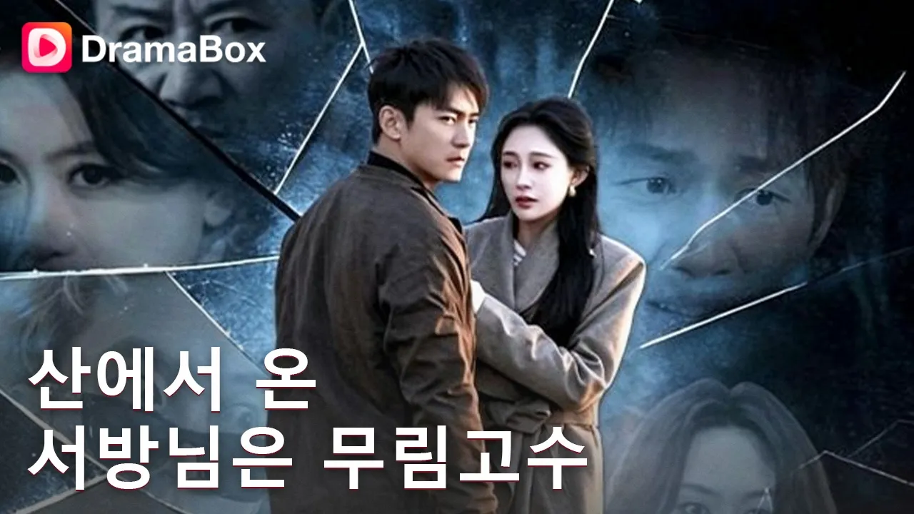 🚨파혼당한 날 처제가 나에게 청혼했다?! 산에서 내려온 촌놈인 줄 알았던 남자의 소름 돋는 무술 실력! 🤯|DramaBox poster