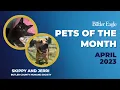 Butler Eagle Pets of the Month - April 2023