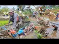 Download Lagu Kumpulan momen terbaik traktor sawah @Olaychannel part 18