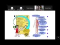 MDH Stroke Monthly Education Series Mysterious Stroke Case Studies Oct 2022