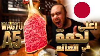 اكلت اغلى لحمة في العالم لحم الواجيو في اليابان 