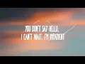 SIENNA SPIRO - You Stole The Show (Lyrics)