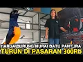 Lagu HARGA BURUNG MURAI BATU TURUN ‼️ PASAR PANTURA TERUPDATE BIKIN PUSING