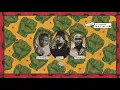 Cali P x TEKA - Rise Up & Shine (feat. Stonebwoy & Seun Kuti) (AUDIO)