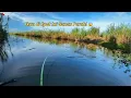 Download Lagu Surga pemancing nila babon!! Belum Pernah Ada yang Mancing Di sini Tarikannya Gila-Gilaan