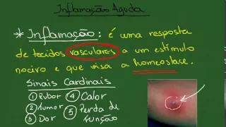Inflamação Aguda - Resumo - Patologia Geral