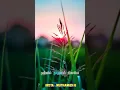 Download Lagu 𝕄𝔸ℕ𝕁𝔸𝕃 𝕄𝔸ℕ𝕁𝔸𝕃 𝕂𝕆ℕ𝔻𝔸 - 𝕋𝔸𝕄𝕀𝕃 𝕊𝕋𝔸𝕋𝕌𝕊 𝕊𝕆ℕ𝔾