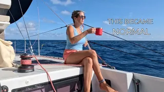 Somehow… This Became Normal | Pacific Crossing