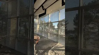                     دندنها