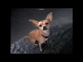 Download Lagu GODZILLA® 1998   Taco Bell Commercial 4