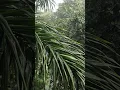 Download Lagu Amazing views of nature