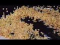 Caribbean Jerk Cuisine houston caribbean food 17137846626