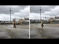 Hungry Cat Does Backflip For Treat