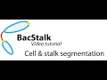 BacStalk tutorial 2 Bacterial cell and stalk segmentation