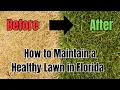 Florida Lawn Care Guide for Homeowners HOAs