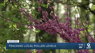 New app allows you to track local pollen levels