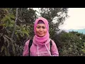 Download Lagu 💞 NYANYIAN HUTAN PAGI 💞( Lirik lagu ) FRANKY SAHILATUA. #sahabatmbolanghkng #TembangFrankyJane