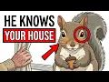 What A Squirrel Knows About Your House Before You Wake Up