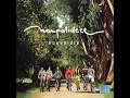 Dame Luz - Nonpalidece (Nuevo Día) [2004]