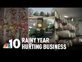 Rainy Year Hurting Vineyards Orchards and Golf Courses NBC10 Philadelphia
