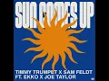 Timmy Trumpet x Sam Feldt - Sun Comes Up (feat. EKKO x Joe Taylor) [Extended Mix]