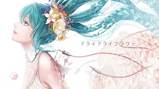 ドライドライフラワー / とあ feat. 初音ミク