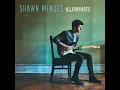 Treat You Better - Shawn Mendes