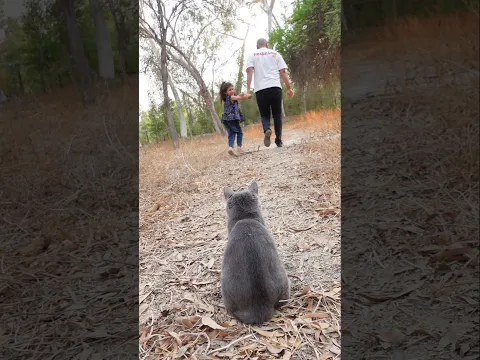 I kicked our cat out... big mistake! 😭
