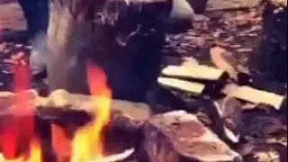 وين الطيبة راحت 