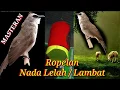 Download Lagu Masteran Trucuk Ropelan 22 menit Nada Lelah
