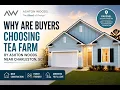 Why are buyers choosing Tea Farm by Ashton Woods near Charleston SC