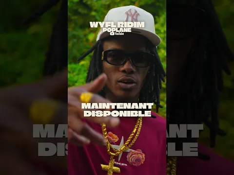 Poplane Gangsta Paradise dispo