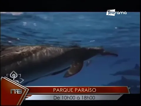 Evento holístico Vegan Day Edición Cuenca Sábado 30 de abril y domingo 1 de mayo