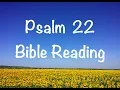 Psalm 22 - NIV Version Bible Reading with