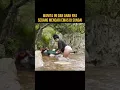 Download Lagu WANITA INI SEDANG MENCARI EMAS DI SUNGAI #alurceritafilm #film