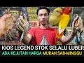 Lagu 🔴 KIOS LEGEND STOK BURUNG SELALU FULL ADA KEJUTAN HARGA MURAH SABTU-MINGGU DI Pasar burung Pramuka