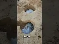 they wanted to do something new at the beach