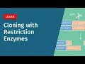Restriction Enzyme Cloning How It Works Pros and Cons