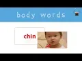 Body Words Flash Card