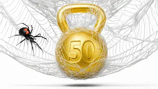 How Much Weight Can a Spider Web Hold