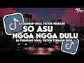 Lagu DJ SO ASU X NGGA NGGA DULU || DJ VIRAL TIKTOK 2025