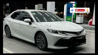 قلبي كيف يهون حبيبه قلبي ياقلبي كامله دندنها
