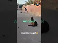Download Lagu Brave German Shepherd Saves Little Girl from Kidnapper!