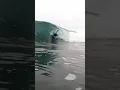 SHALLOW REEF SHRED with Manua, Nils \u0026 Co #bodyboarding